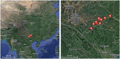 Survey of mosquito species and mosquito-borne viruses in residential areas along the Sino–Vietnam border in Yunnan Province in China